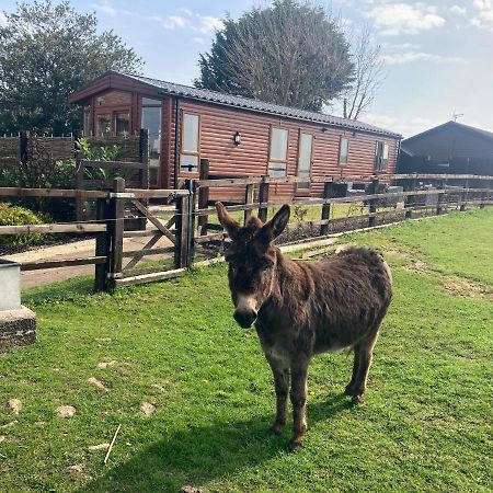 Rew Farm Country And Equestrian Accommodation - Sunset Lodge Melksham Esterno foto