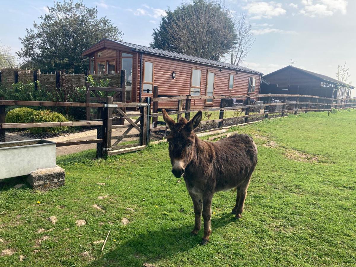 Rew Farm Country And Equestrian Accommodation - Sunset Lodge Melksham Esterno foto