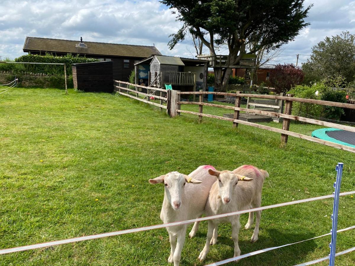 Rew Farm Country And Equestrian Accommodation - Sunset Lodge Melksham Esterno foto