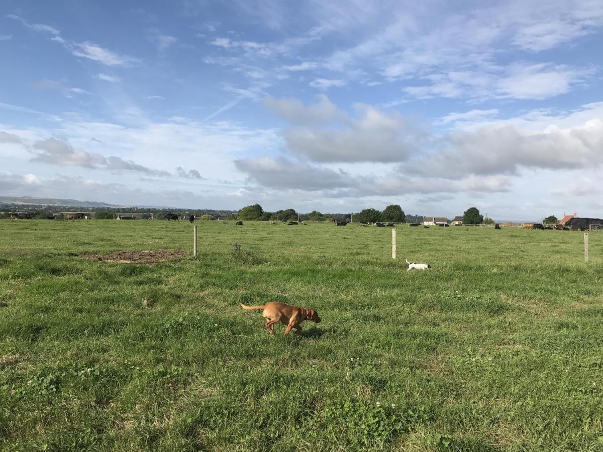 Rew Farm Country And Equestrian Accommodation - Sunset Lodge Melksham Esterno foto